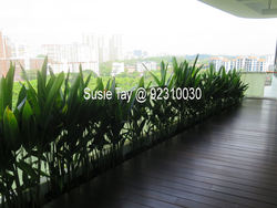 Lush On Holland Hill (D10), Condominium #174942092